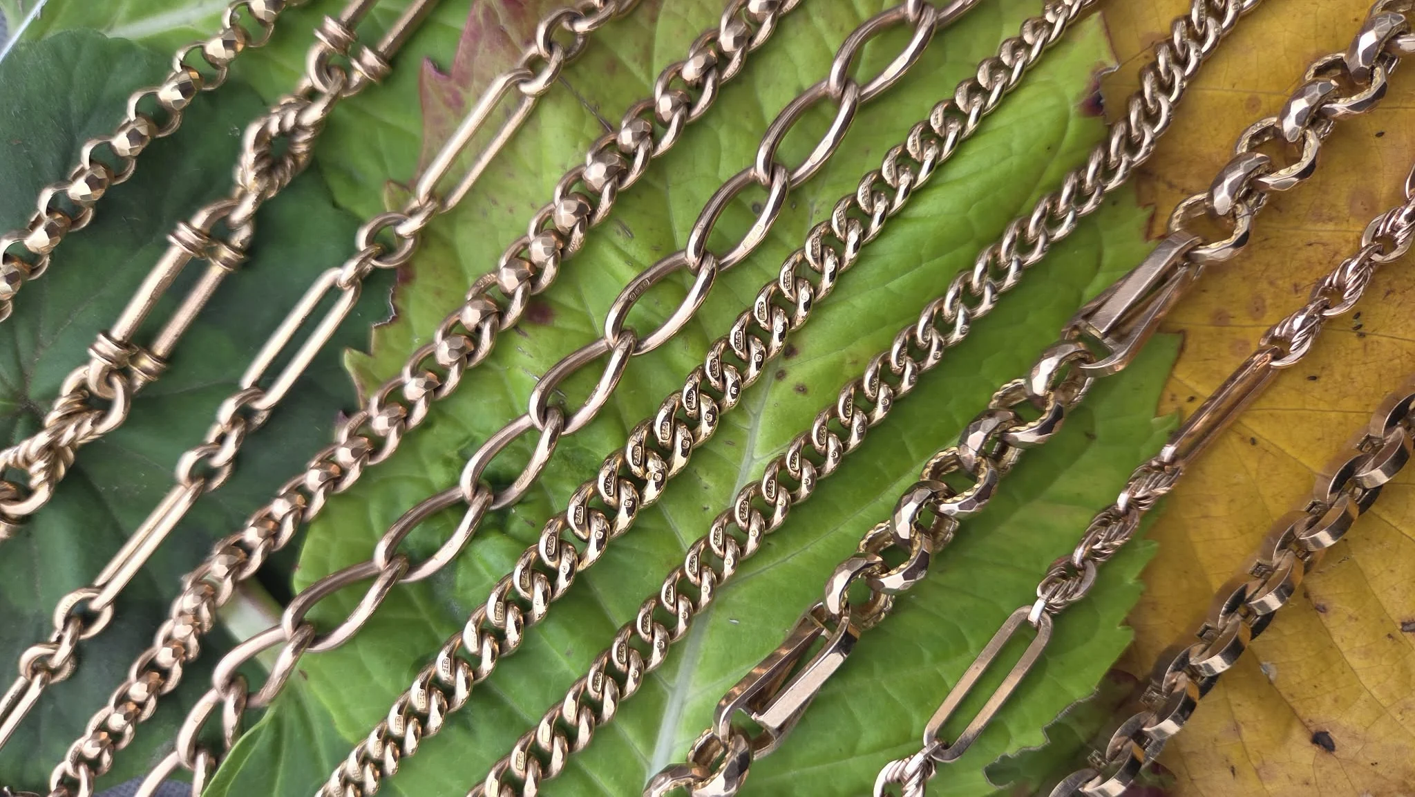 Albert chains on autumn leaves