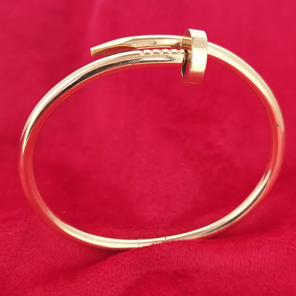 Cartier Nail Juste un Clou Bangle - Classic Model 17cm- Side View 