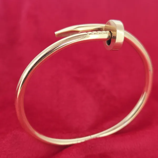 Cartier Nail Juste un Clou Bangle - Classic Model 17cm- Front View 