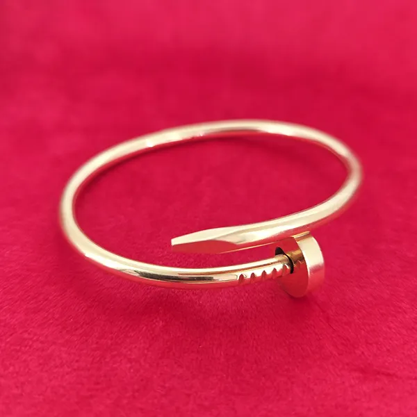 Cartier Nail Juste un Clou Bangle - Classic Model 17cm- Close Up 