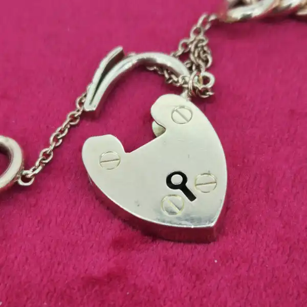 Gorgeous 9ct Gold Chunky Charm Bracelet-rose-gold-chunky-charm-bracelet-with-padlock.webp