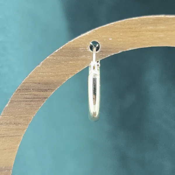  9ct Yellow Gold 13mm Hoop Earrings-9ct-yellow-gold-small-plain-hoops-13mm.webp