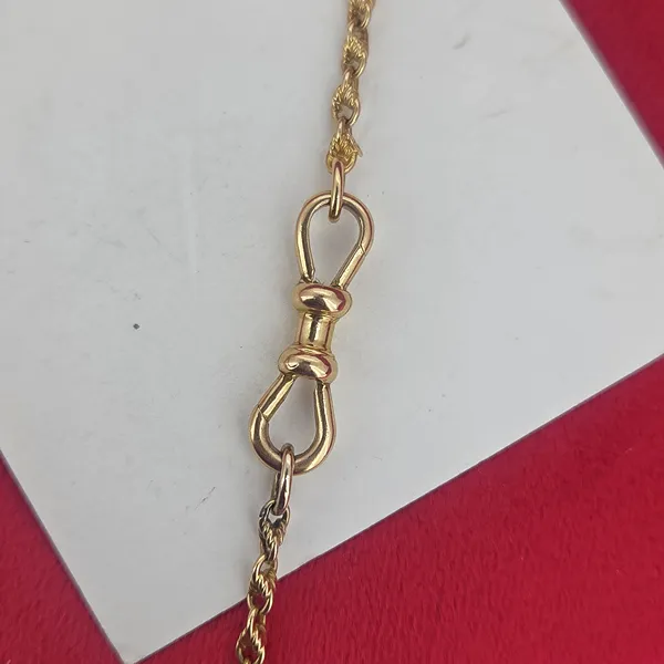 Antique Yellow Gold 15ct Longuard Chain with Double Dog Clip- Crown View 