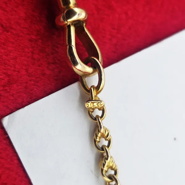 Antique Yellow Gold 15ct Longuard Chain with Double Dog Clip- Magnified 
