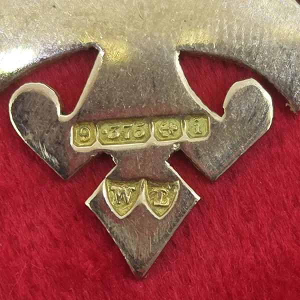 Date 1908! Antique 9ct Gold Medal by William Light- Close Up 