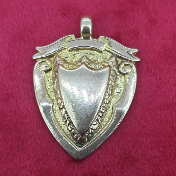 Date 1918! 9ct Gold Shield Medal by James Walter Tiptaft- Side View 