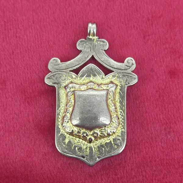 Date 1919! Reversible Antique Medal by William Philip Whiteman- Side View 